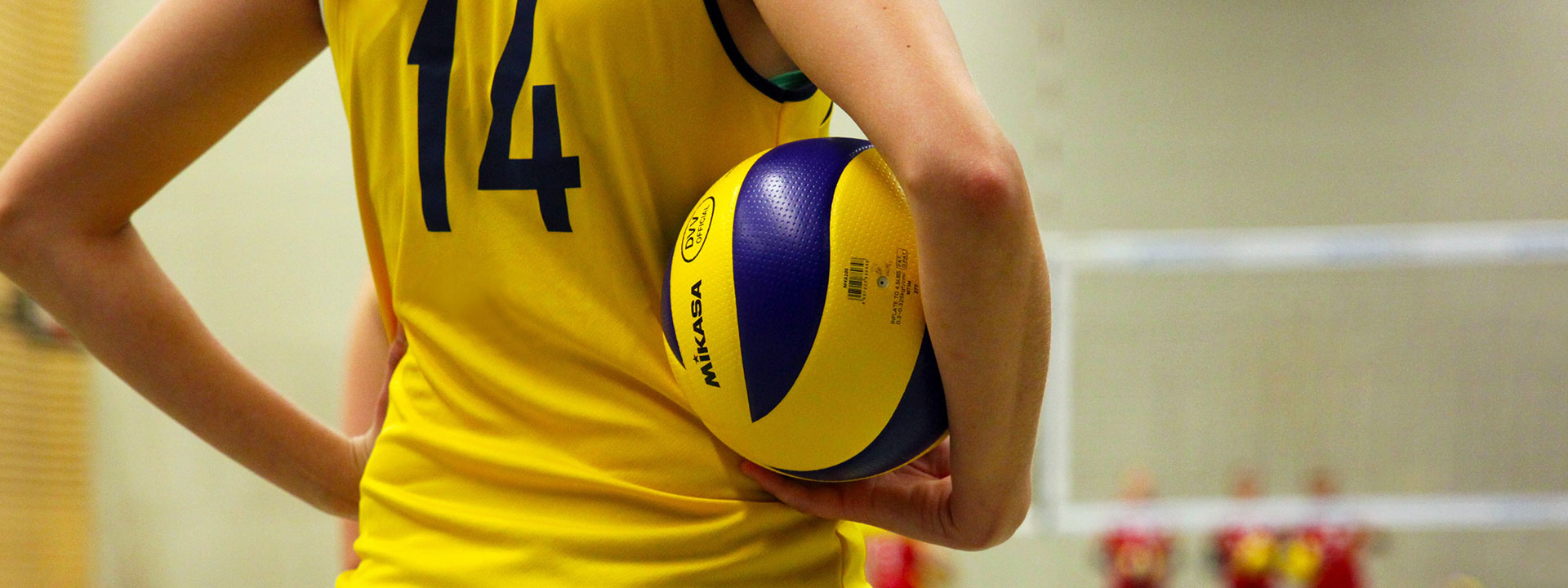 <br><br>VOLLEYBALL HÄLT UNS FIT